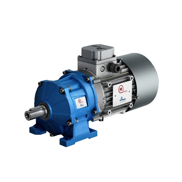 MOTOVARIO Reducer-Order Multiple Models Online