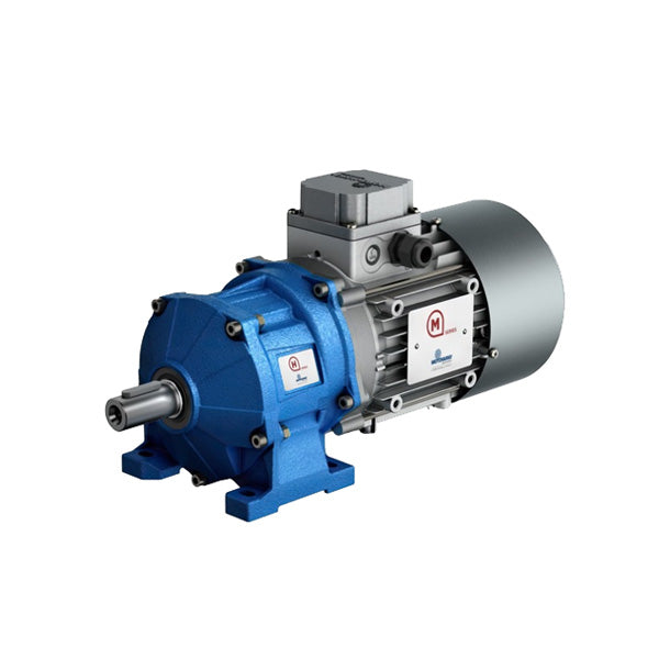 MOTOVARIO Reducer-Order Multiple Models Online