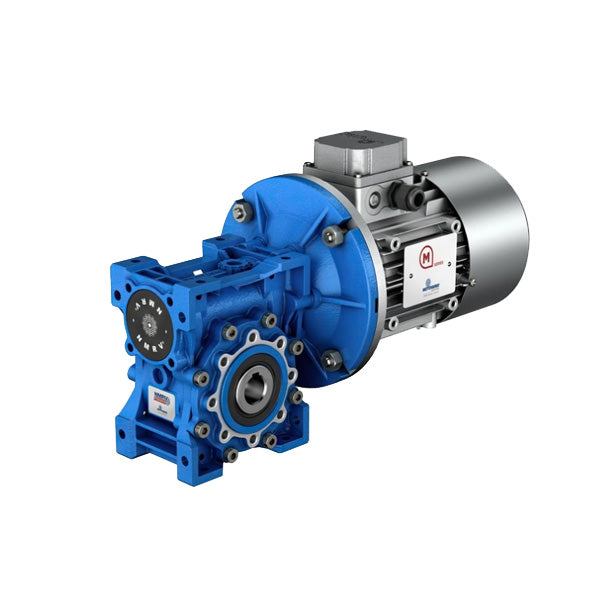 MOTOVARIO Reducer-Order Multiple Models Online